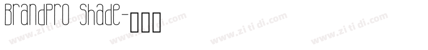 BrandPro Shade字体转换